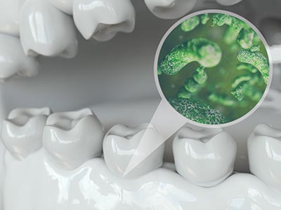 bacteria teeth
